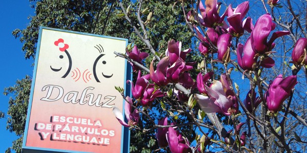Galería | Escuela Daluz Talca Galería | Escuela Daluz Talca