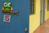 Galería | Escuela Daluz Talca
